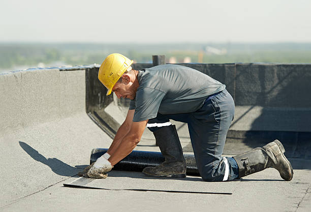 Best Insulation Inspection Services  in Jensen Beach, FL